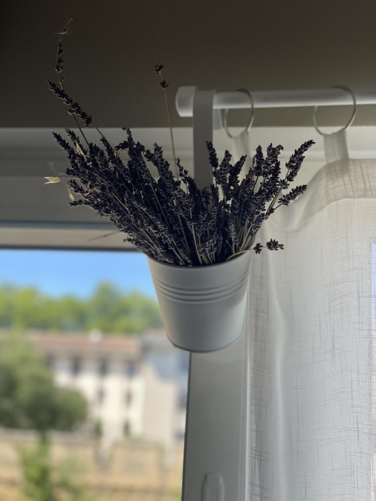 Chez Flo Apartment Avignon Exterior foto